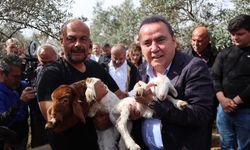 Kuzuları telef edilen çiftçiye kamyonet dolusu mutluluk