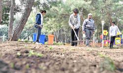 Antalya’nın HayatParkı’na öğrenciler hayat verdi
