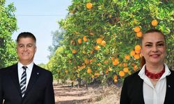 Tarımın başkentinde seraları ve bahçeleri böcek sardı