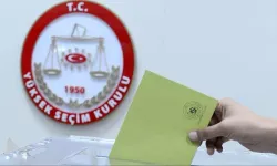 Seçmen Kaydı Sorgulama yapma ekranı 2024 || e-Devlet hangi sandıkta ve nerede oy kullanacağım belli oldu mu?