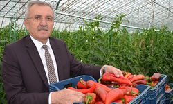 Serik Belediyesi’nden dev üretim