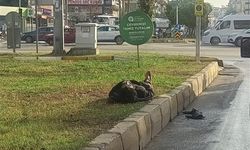 Kepez’de kimse sokakta kalmayacak…