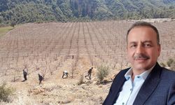 Tarım sahipsiz kalıyor… Bir üreticinin isyanı
