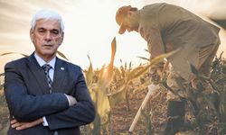 Tarım can çekişiyor… Çiftçi nefessiz kaldı