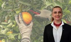 Bir bu eksikti… Tarımda böcek korkusu