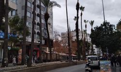 Antalya’da budama zamanı başladı