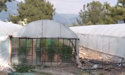 Antalya’da dört mevsim üretim