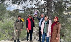 Mersin’de kuş yuvalarına özel proje