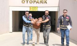 Eski eşi hakkında dedikodu yaptığını iddia ettiği akrabasını sırtından vurarak öldürdü