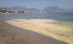 Antalya’nın sahillerini görenler inanamadı… Antalya sahiline ne oldu?