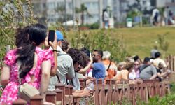 Antalya’nın yasak dinletmeyen cazibesi Düden Şelalesi