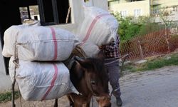 Akaryakıt zamlarına at ve eşekli çözüm