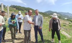 Antalya’nın o projesine 60 milyon 480 bin TL ödenek
