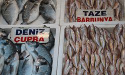Av yasağının başlamasıyla balık çeşitliliği azalacak, fiyatlar aynı kalacak