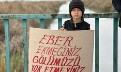 Eber Gölü kuruma tehlikesiyle karşı karşıya