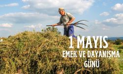 1 Mayıs’ın önemi nedir, resmi tatil mi, okullar tatil olacak mı, 1 Mayıs’ta hangi kurumlar açık olacak?