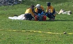 Son dakika... Antalya'da örnek karar... Bir kadına saldırıp öldüren köpeklerin sahibi tutuklandı