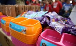 Antalya’da sokak hayvanlarına özel proje
