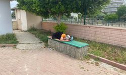 Konteyner evde kalan kadın kardeşi tarafından sokağa atıldı