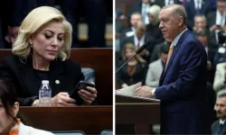 Şebnem Bursalı ve Istakoz olayı nedir, ne oldu, Erdoğan’dan neden özür diledi
