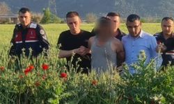 Otluk alanda saklanan hırsız şüphelisi jandarma tarafından yakalandı