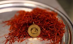 Bu bitkinin bir avucu 1 gram altının fiyatı ile eşitlendi