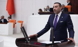 Milletvekili Kaya, turist rehberlerinin sorunlarını meclise taşıdı