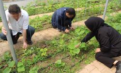 Antalya’da psikiyatri hastalarına ilginç terapi… Gözler Akdeniz Üniversitesi’ne çevrildi