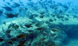 Antalya diken üstünde… Antalya sahilleri işgal altında