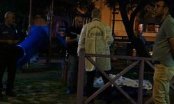 Ölüm parkta dinlenirken yakaladı