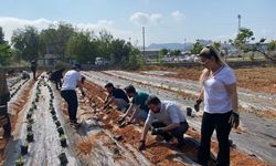 Bu proje ile öğrencilerin bilgileri deneye dönüşecek