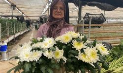 Annelere 35 liralık çiçekler Antalya’dan gidecek