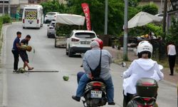 Antalya’da ilginç olay… Yürekler ağza geldi