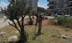 Antalya Gazipaşa'da hummalı çalışma... Gazipaşa yaza hazırlanıyor