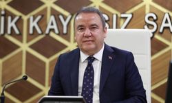 ‘Başkan Böcek’ adıyla dolandırıcılık iddiası