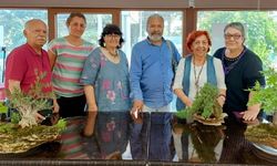 Ağaçların dili; doğanın sessiz anlatıcıları