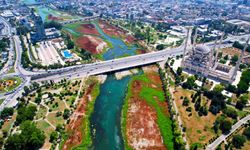 Dünyaca ünlü nehri yosunlar kapladı… Kenti kötü koku sardı