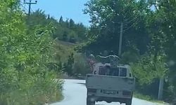 Elde kalan karpuzları tekmeyle kamyonet kasasından yola fırlattı