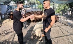 Kurban pazarlarında fiyatlar dibi gördü