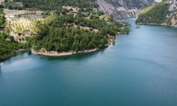 Karadeniz’i özleyenler Karadeniz’e değil Adana’ya gidiyor