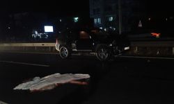 Ecel tatilinin son günü yakaladı…
