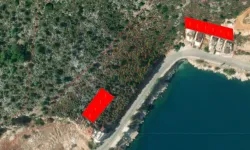 Finike'de TOKİ'ye devredilen arazi ile ilgili tepki büyüyor... Bir açıklama ilçe başkanından geldi