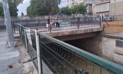 Venedik’e benzetilen kanalın çevresi otla doldu