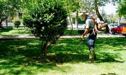 Konya’nın o belediyesi bölgedeki eksiklikler için çalışma başlattı… Artık çok daha konforlu ve estetik olacak