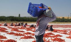 Okullar bitti öğretmenler işsiz kaldı
