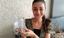 Yaralı cüce yarasaya avukat şefkati