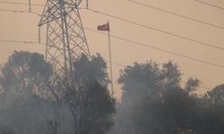 Aydın Germencik'teki yangında 11 kişi etkilendi... Zehirlenen kişilere sağlık ekipleri müdahale etti...