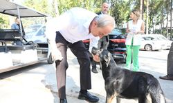 ‘Köpek yakıldı’ iddialarına Kepez Belediye Başkanı Kocagöz’den açıklama…. Belediye Başkanı hayvan severleri yalanladı