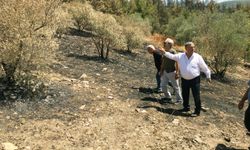 Muğla inceleme altına alındı… 7 ilçe için rapor hazırlanacak
