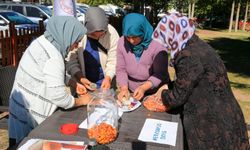 Çameli’nde kadınlara doğal yollarla ‘alıç sirkesi’ yapımı eğitimi